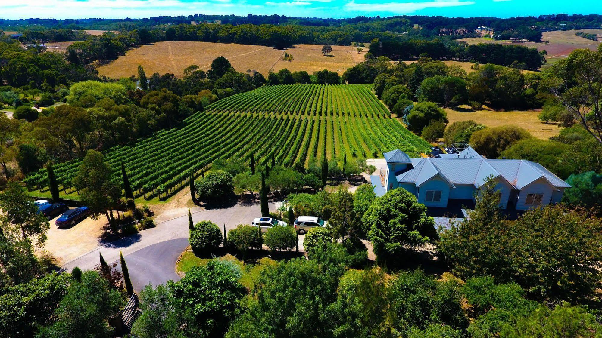 Morning Sun Vineyard Hotel Mornington Peninsula Exterior photo