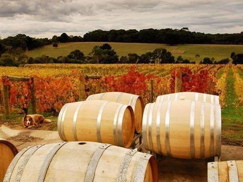 Morning Sun Vineyard Hotel Mornington Peninsula Exterior photo